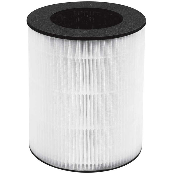 TotalClean 5-in-1 Tower Air Purifier Large Filter Replacement